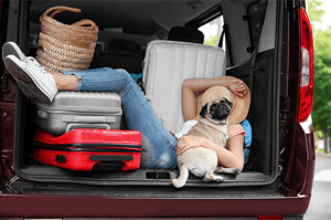 Person and dog relaxing with luggage in car trunk during winter car shipping.