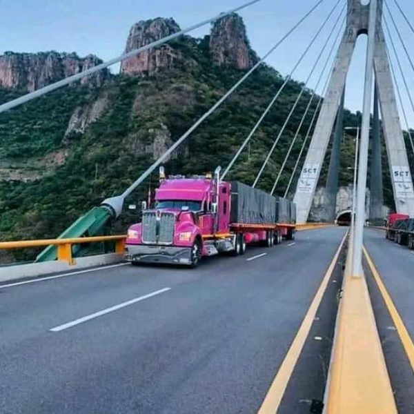 Pink semi truck transporting goods on a cable-stayed bridge with mountain backdrop.
